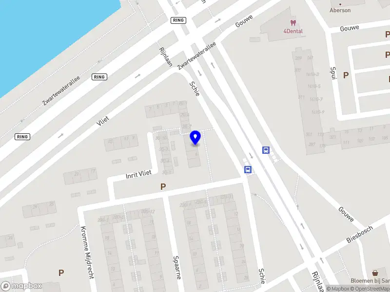 Vereniging Sectie Papiaments Zwolle