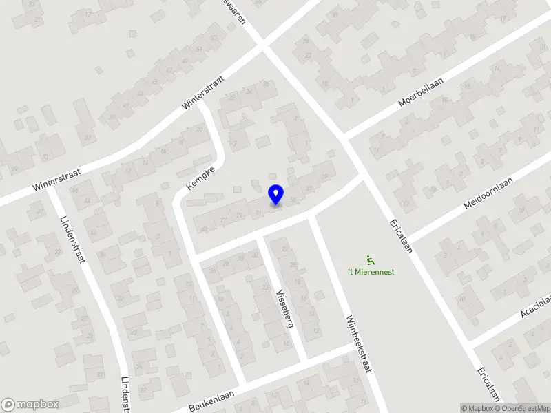 Nieuw bedrijf Betsie Bloemen Freelance Florist & Events