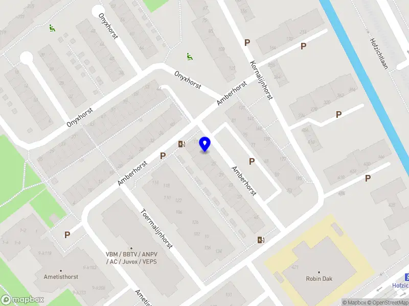 Joanna van der Hoek Healing