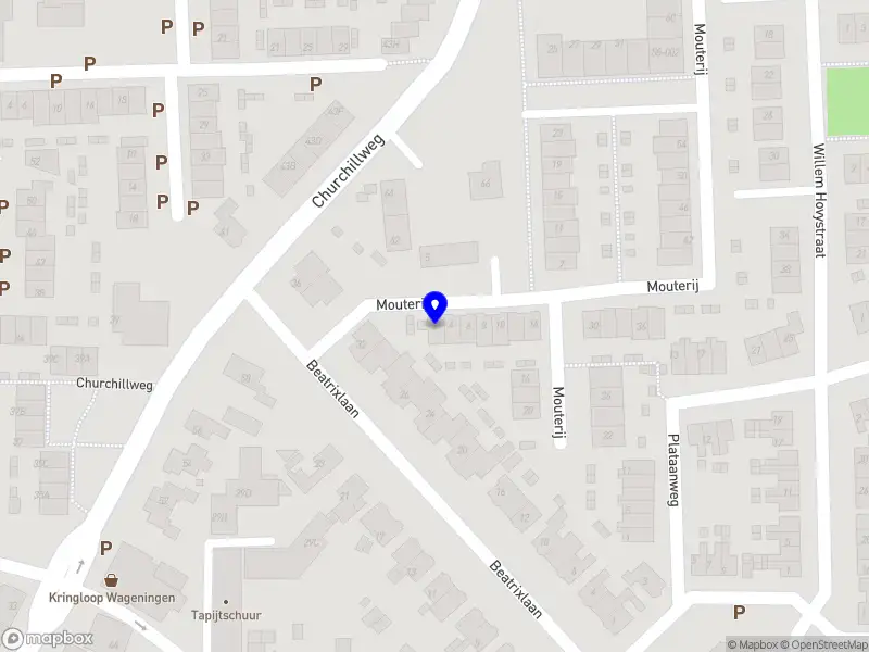 Discover Ultimate Frisbee Wageningen