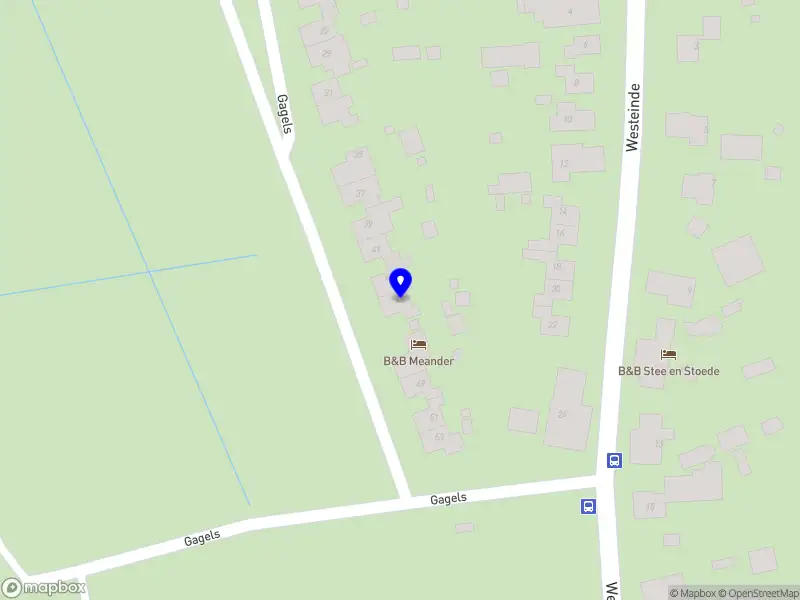 Het kleine gelukcoaching