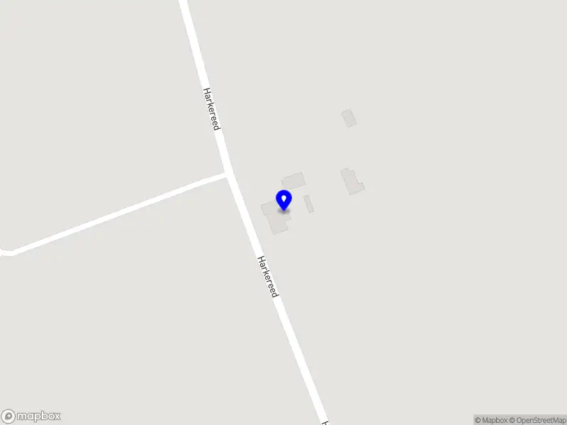 Kooistra boom en groen