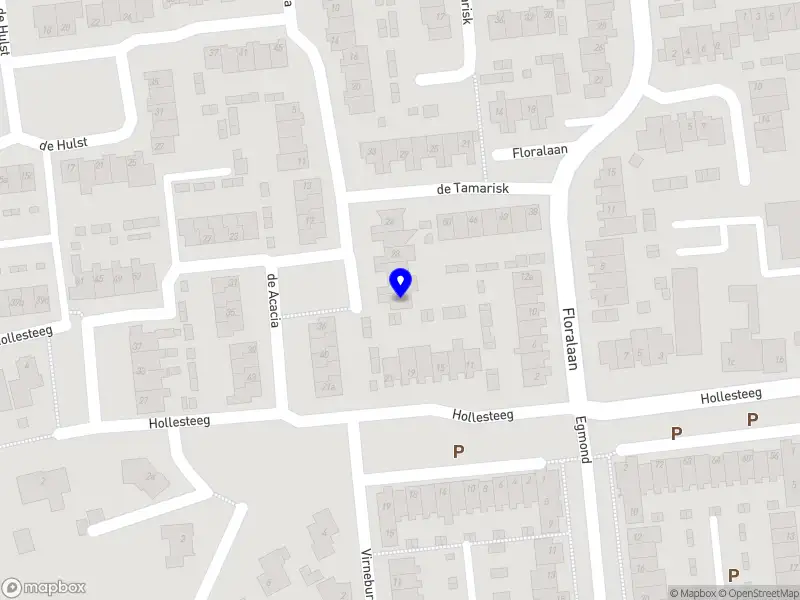 De Hoog Strategisch Advies