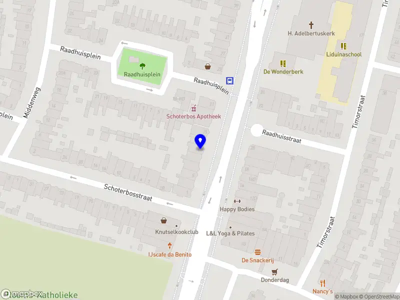 PACE Management Haarlem