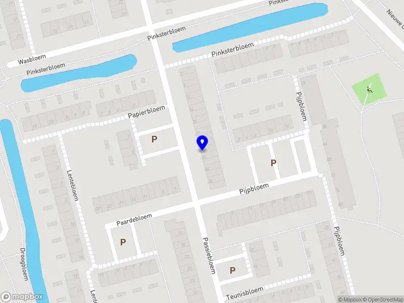 Nieuw bedrijf De Strandbal