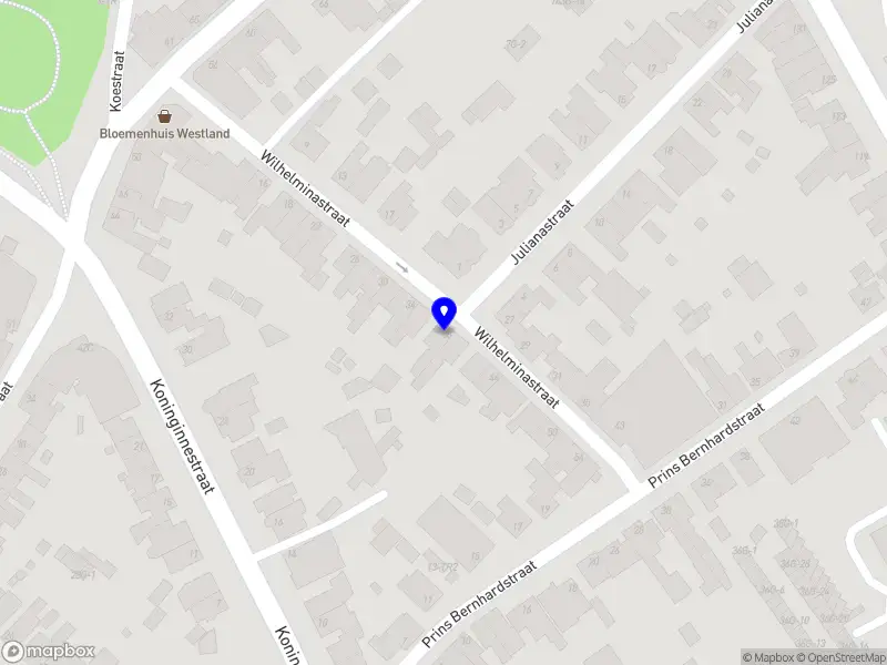 Kinetic Visionary Growth