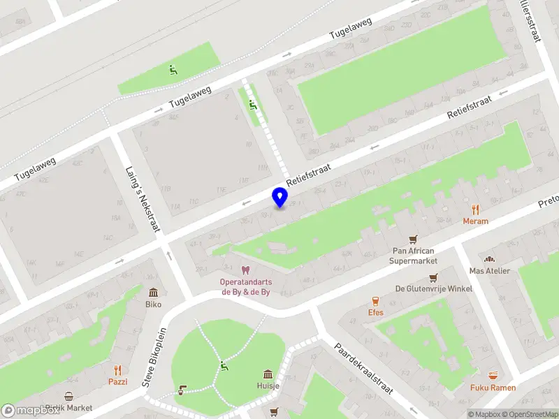 BlueBirdsFly Amsterdam