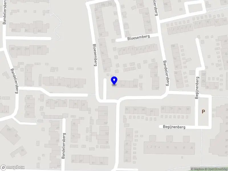 Stichting Teesito Kafoo Roosendaal