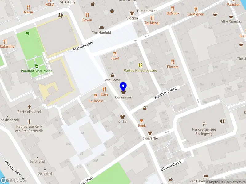 Nieuw bedrijf Pierre Conemans B.V.