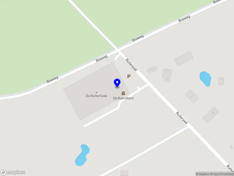 Rijvereniging De Bosruiters DEN HAM