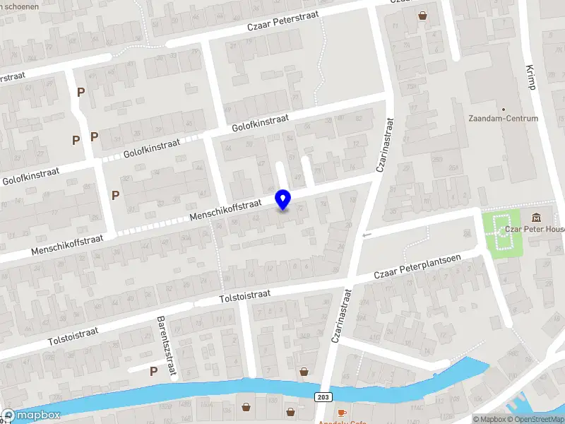 St. Roeisloepen Grachtentocht A'dam ZAANDAM