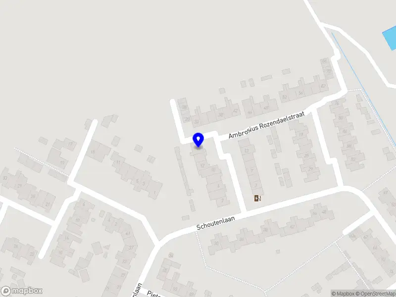 C.P.C. van der Pluijm