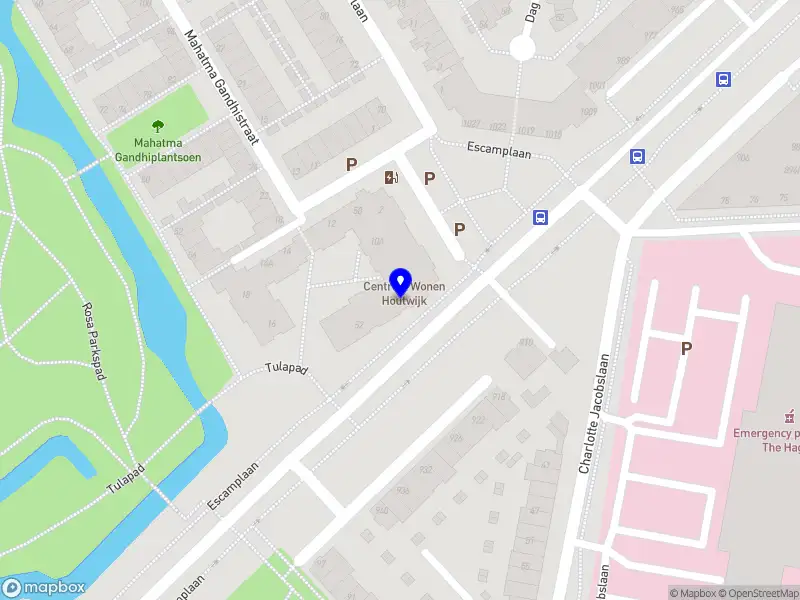 Suzanne Luppens Permacultuur