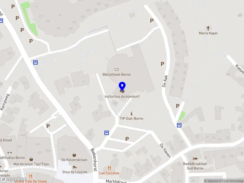 Nieuw bedrijf Stichting Kulturhus De Bijenkorf Borne