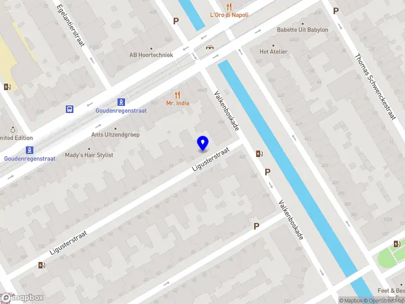 Nieuw bedrijf elske verdoorn