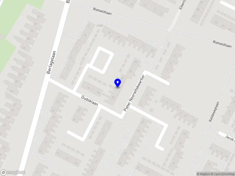 IT Counsellor BILTHOVEN