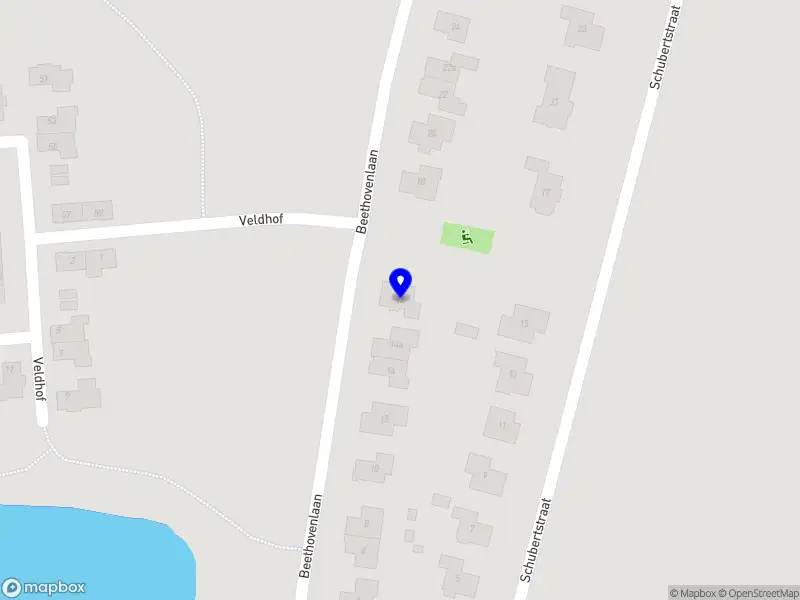 Nieuw bedrijf Huisdirigent