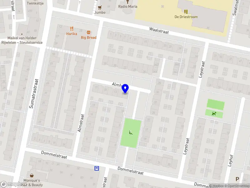 Priscilla zorgt 's-Hertogenbosch