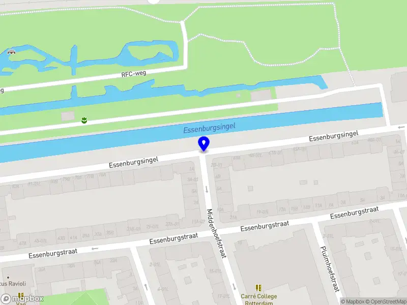 Nieuw bedrijf Coline Morise Coaching