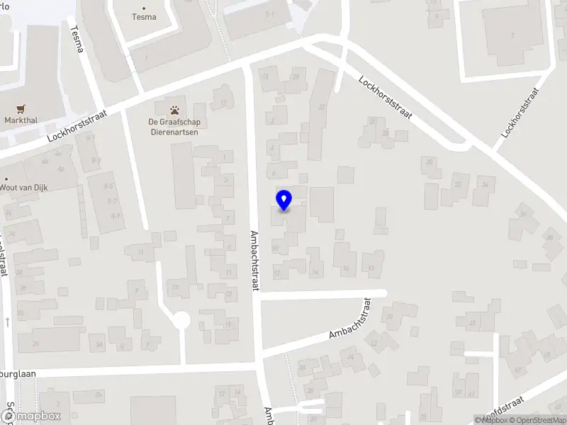 Kaylie educatie & begeleiding