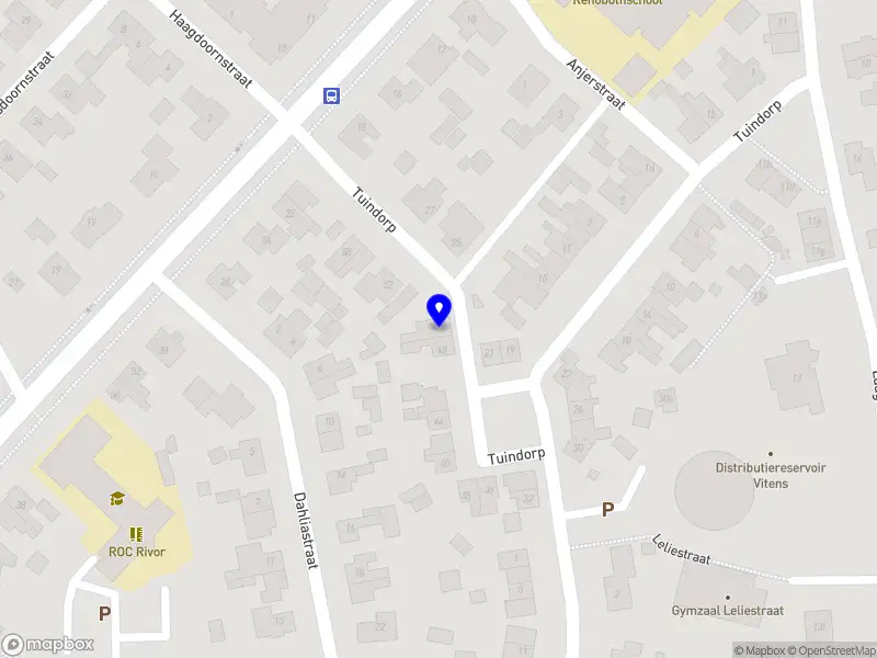 Nieuw bedrijf Daan Holding B.V.