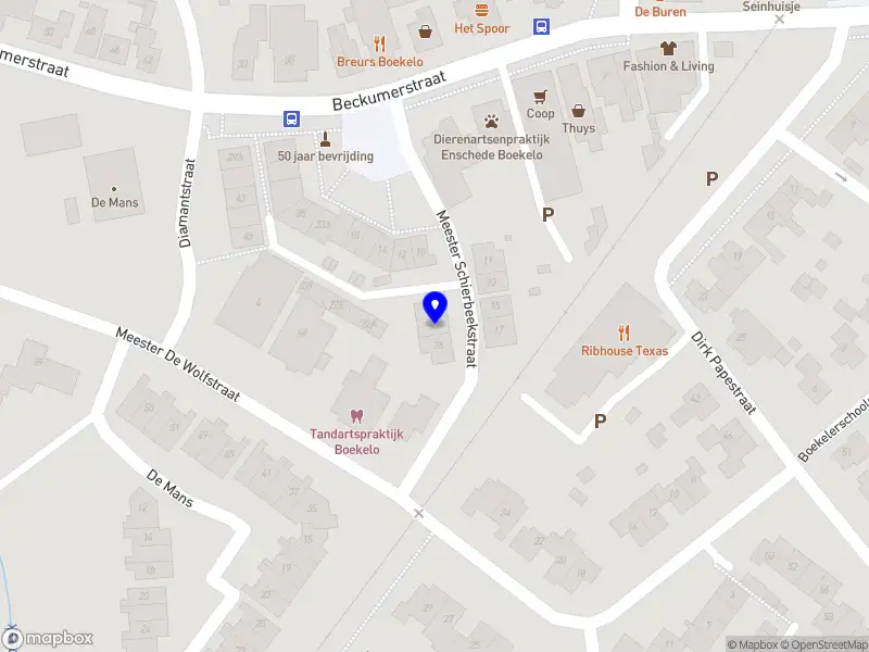 Marjon de Co-Teacher