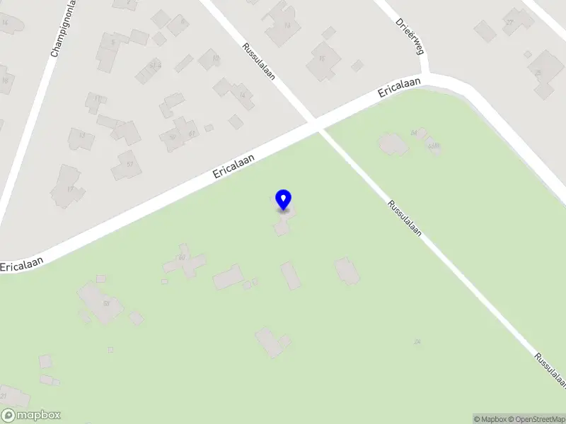 Nieuw bedrijf Van Wilgenburg Holding B.V.