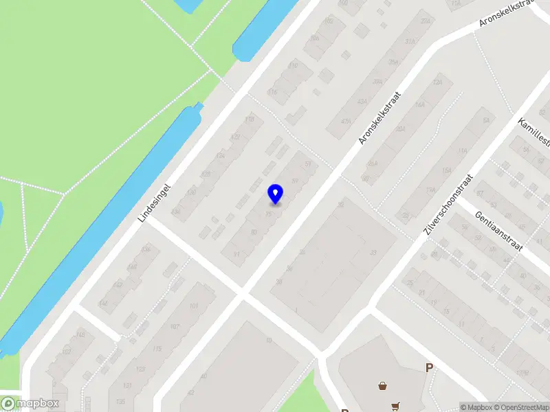 Senora Concepts Rotterdam