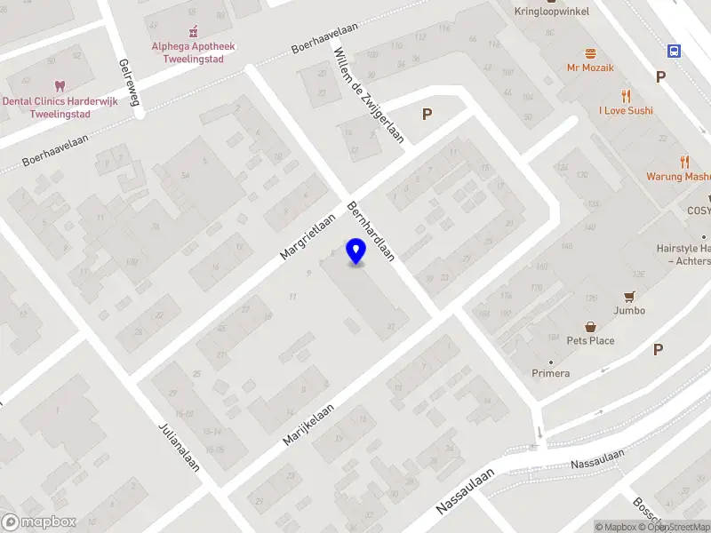 Dilek's Security B.V.