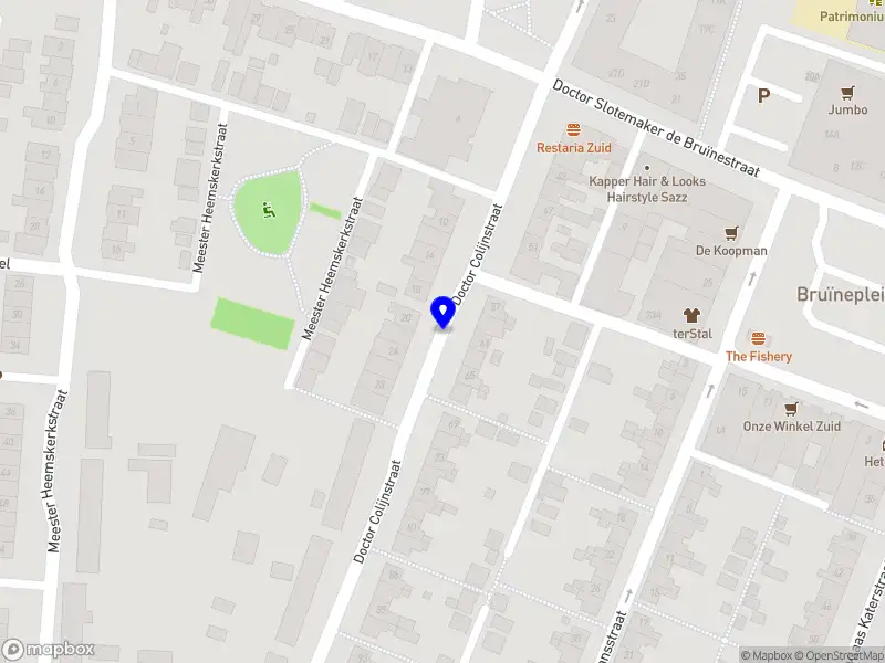 Flor De Pintor Schilderwerken