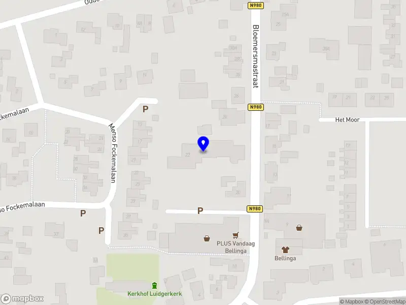 Nanning B.V. Niekerk