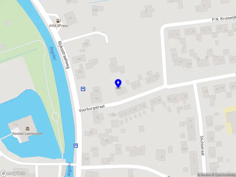 Liz Pelupessy, Advies Training & Coaching