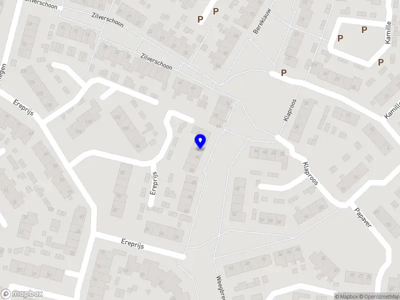 Nieuw bedrijf Hoogi Pizza