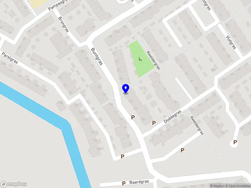 Nieuw bedrijf Dragon Raw