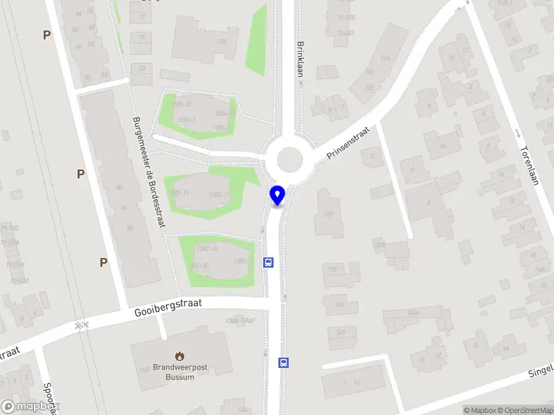 VIP Driver Marja Brugman BUSSUM