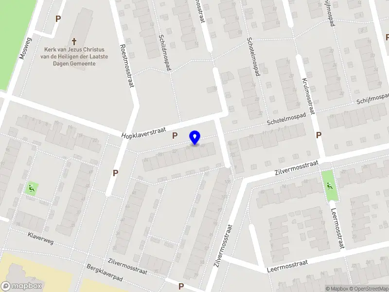 Nieuw bedrijf Vidya Vellora