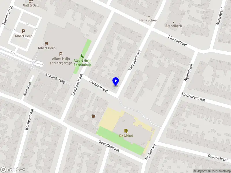 Lifestyle & Loveables