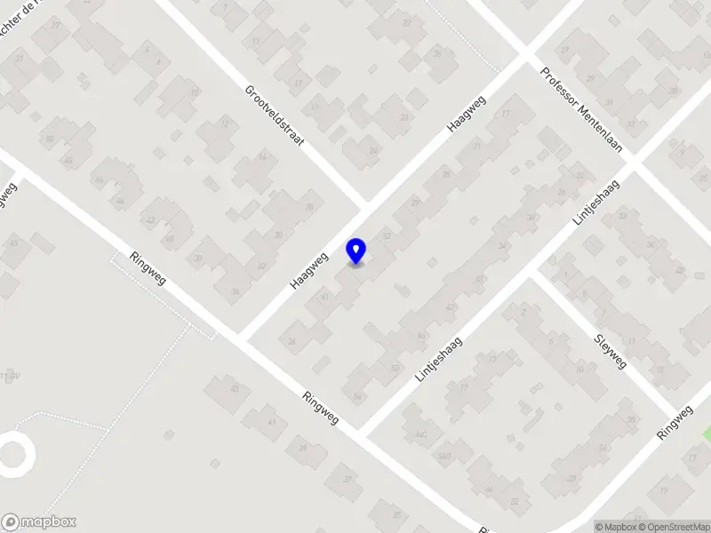 Nieuw bedrijf Meridian Roots