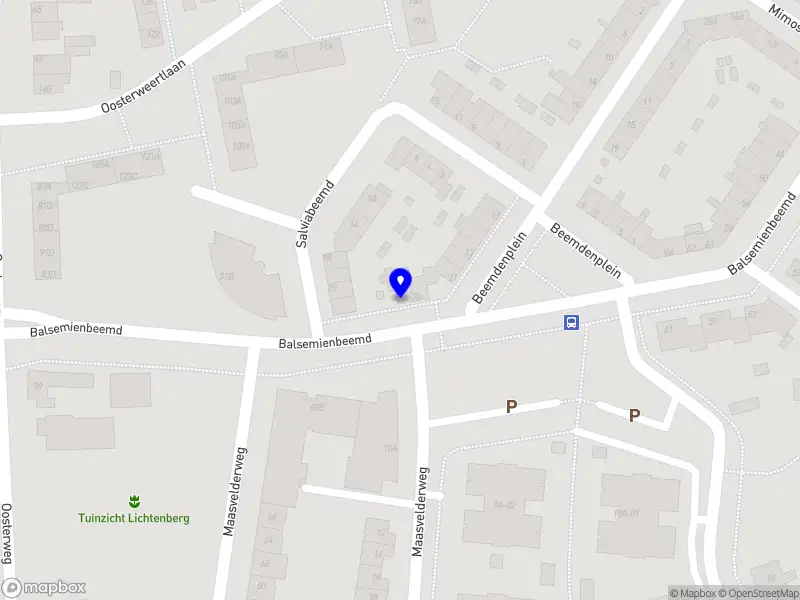 Persoonlijk begeleider Pavone