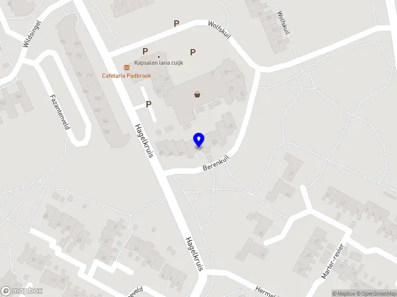 Nieuw bedrijf droom-kompas