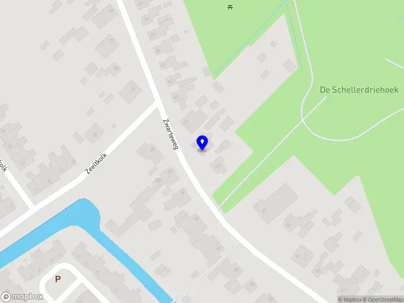 Nieuw bedrijf NZDcompany