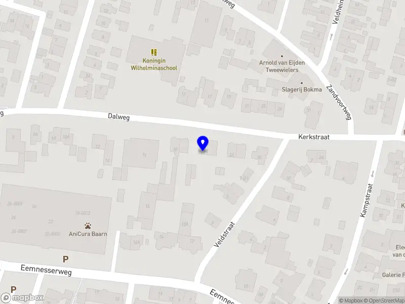 Pronk Projectbegeleiding