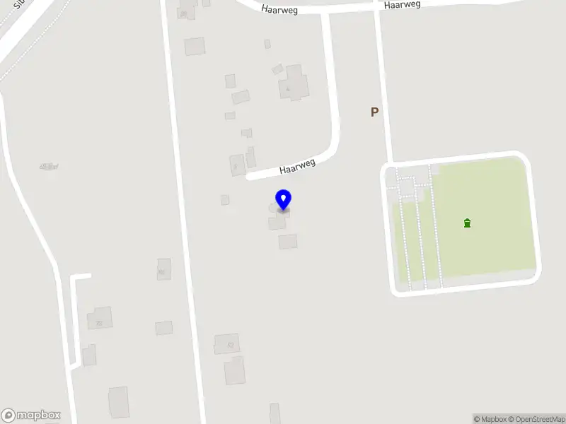 ABS Bug Service Westerhaar-Vriezenveensewijk