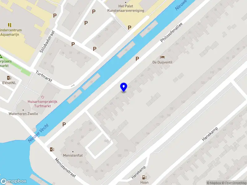 Rachel van der Kolk, Psycholoog/dans-en bewegingstherapeut