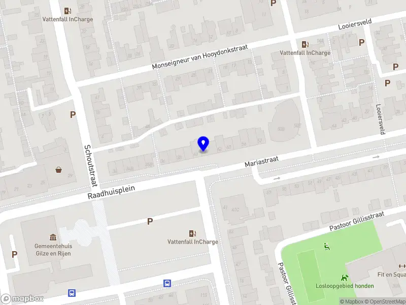 Van Eijk Onderzoek & Advies