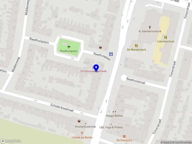 Kinderfysiotherapie KidsMove Haarlem