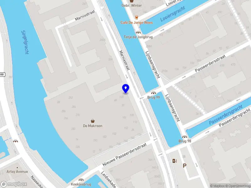 PETUNIA 91 Amsterdam