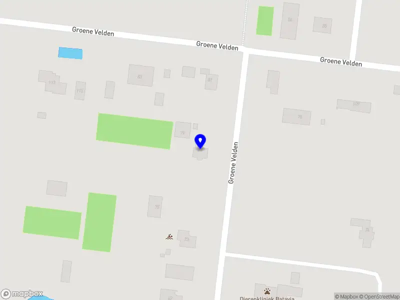 Sourire Paard en Mens