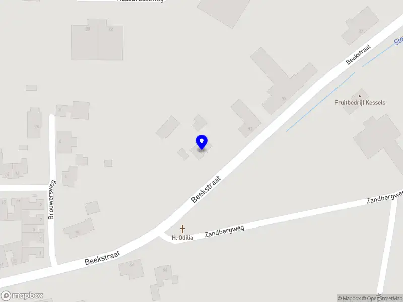 Hondentrainer Tineke