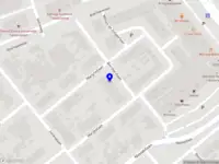 Dilek's Security B.V.